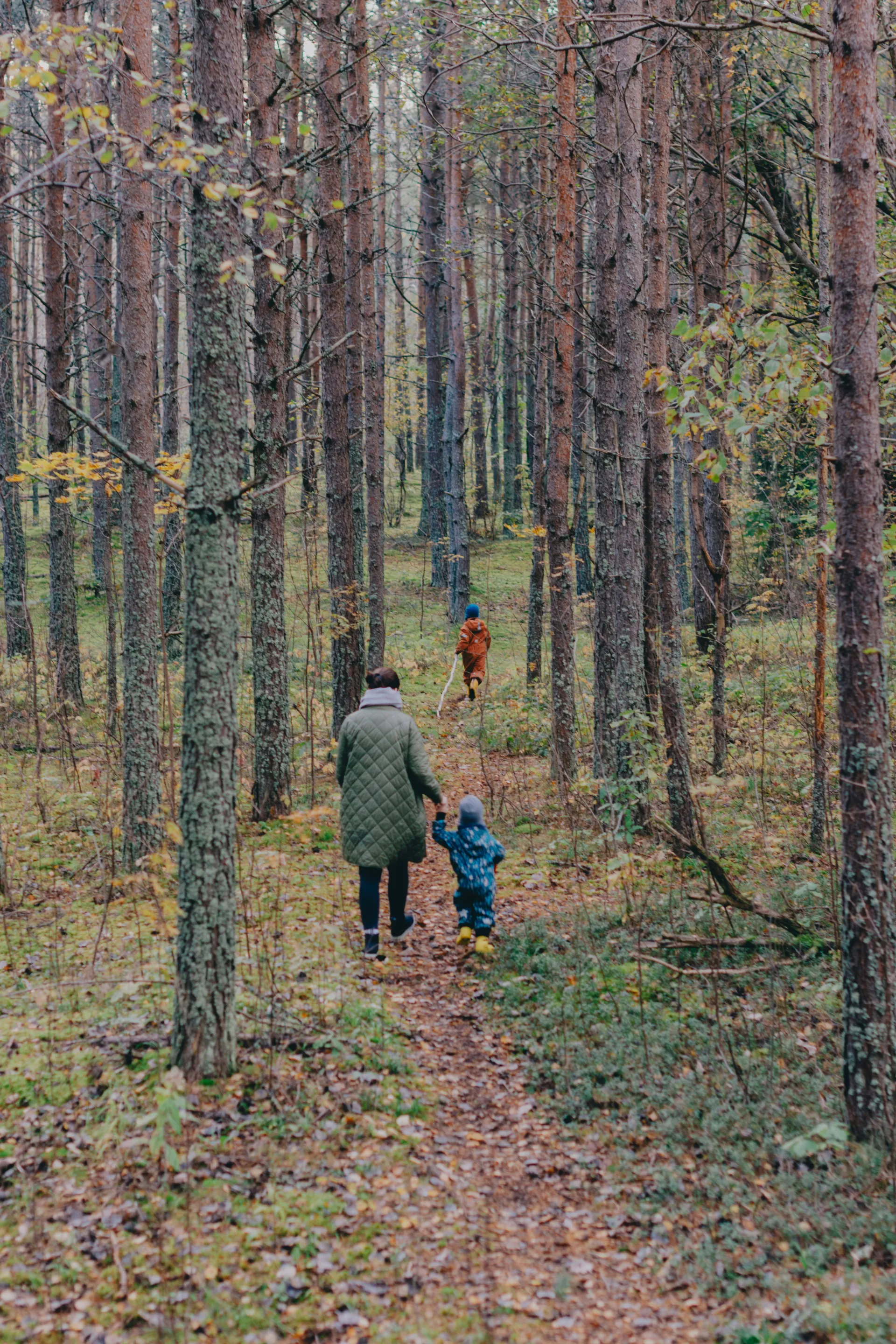 Familj i skogen