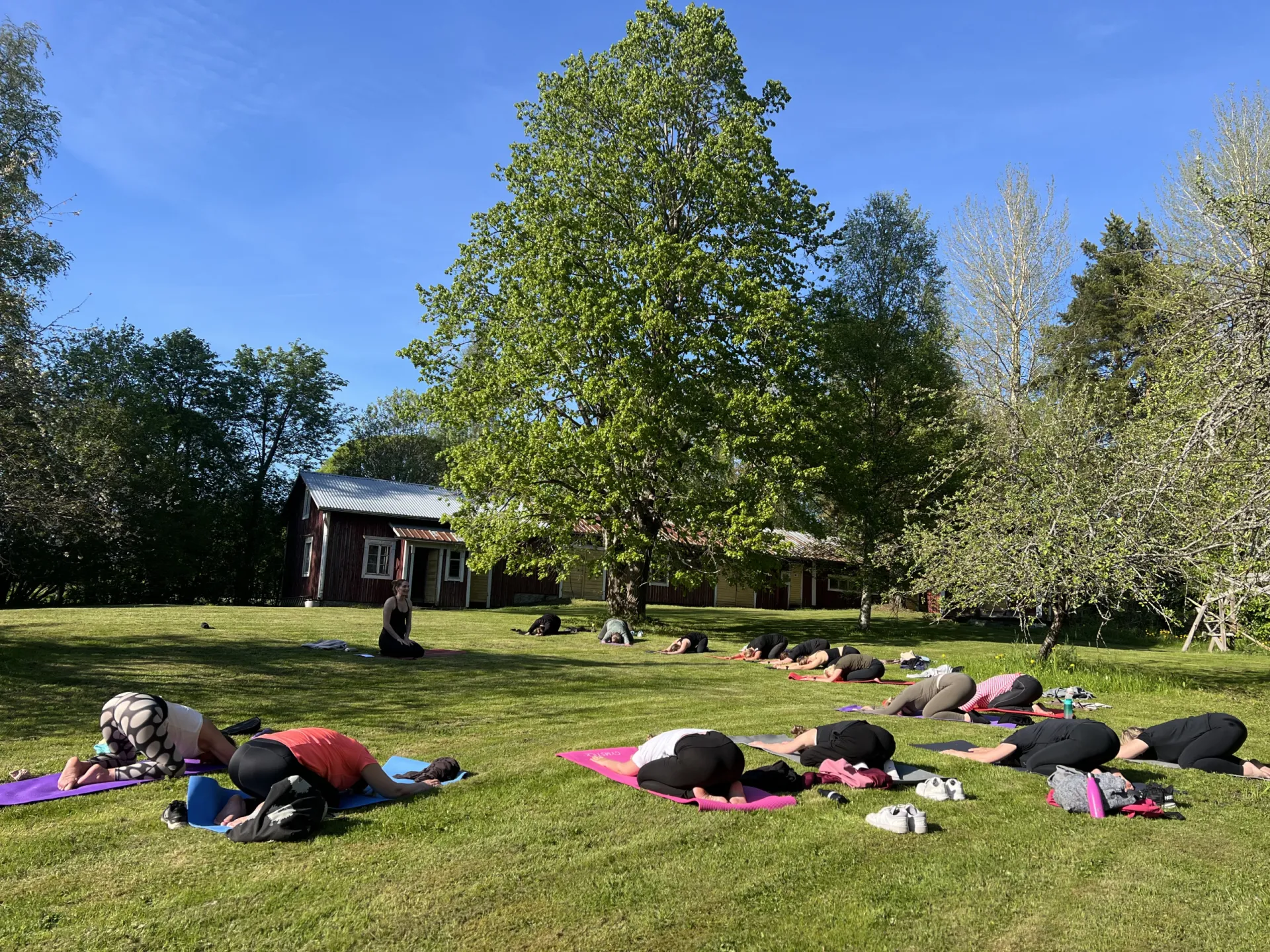 Yoga Backfors 2
